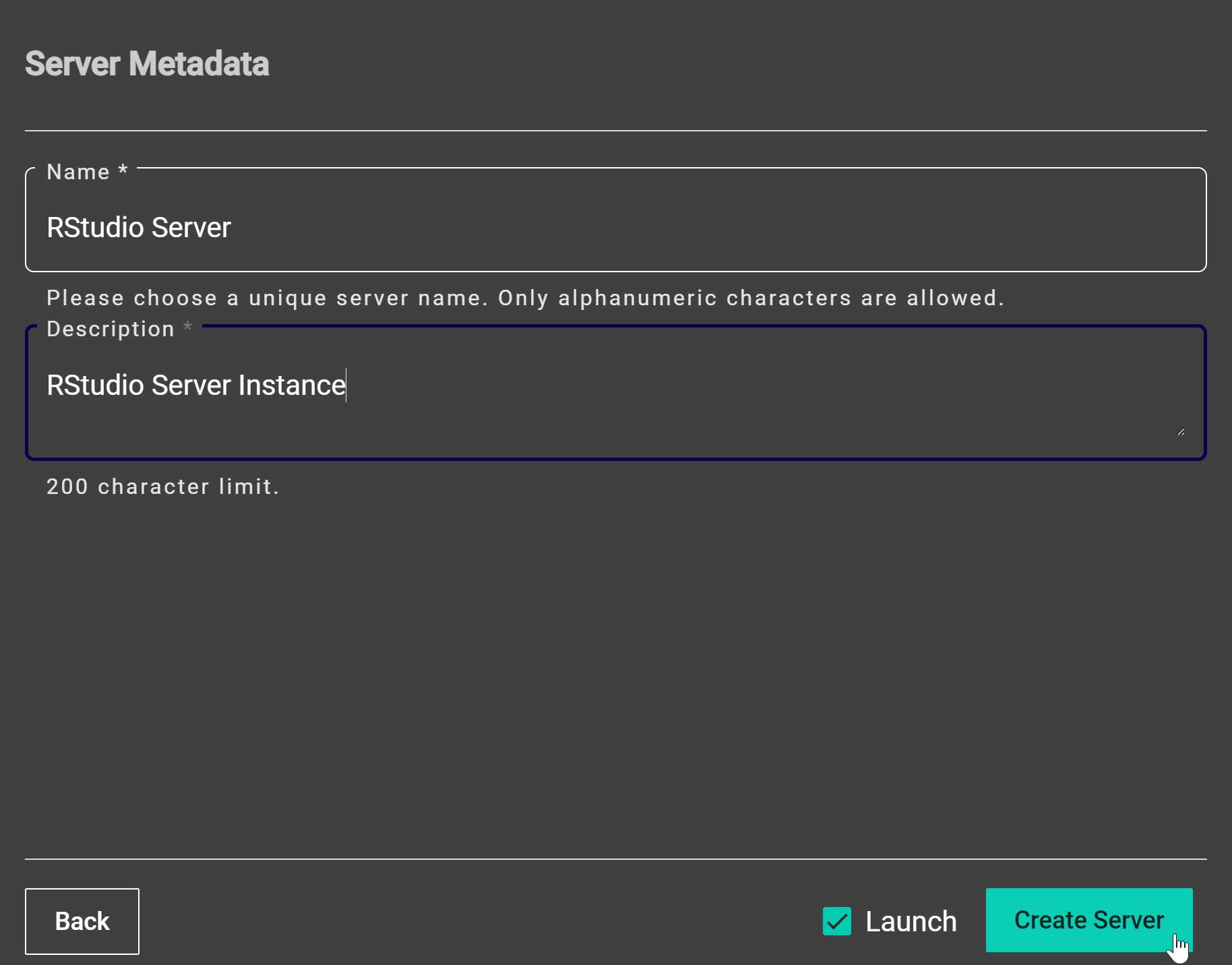 A screenshot of the Notebooks Hub new server steps