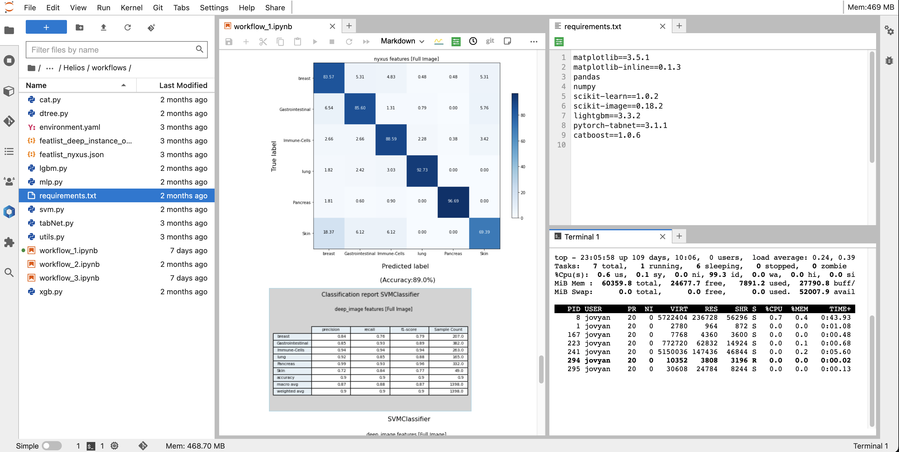 A screenshot of the JupyterLab interface. The main work area is in the middle section of the interface. There is also a left sidebar and a top menu bar.