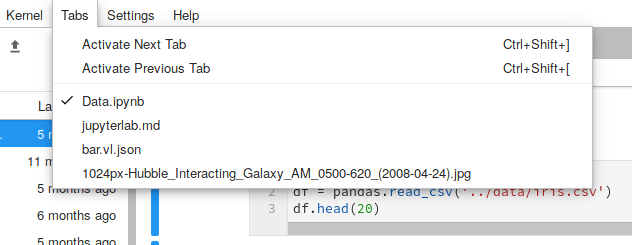 A screenshot of the tabs menu in JupyterLab with a list of sample documents.