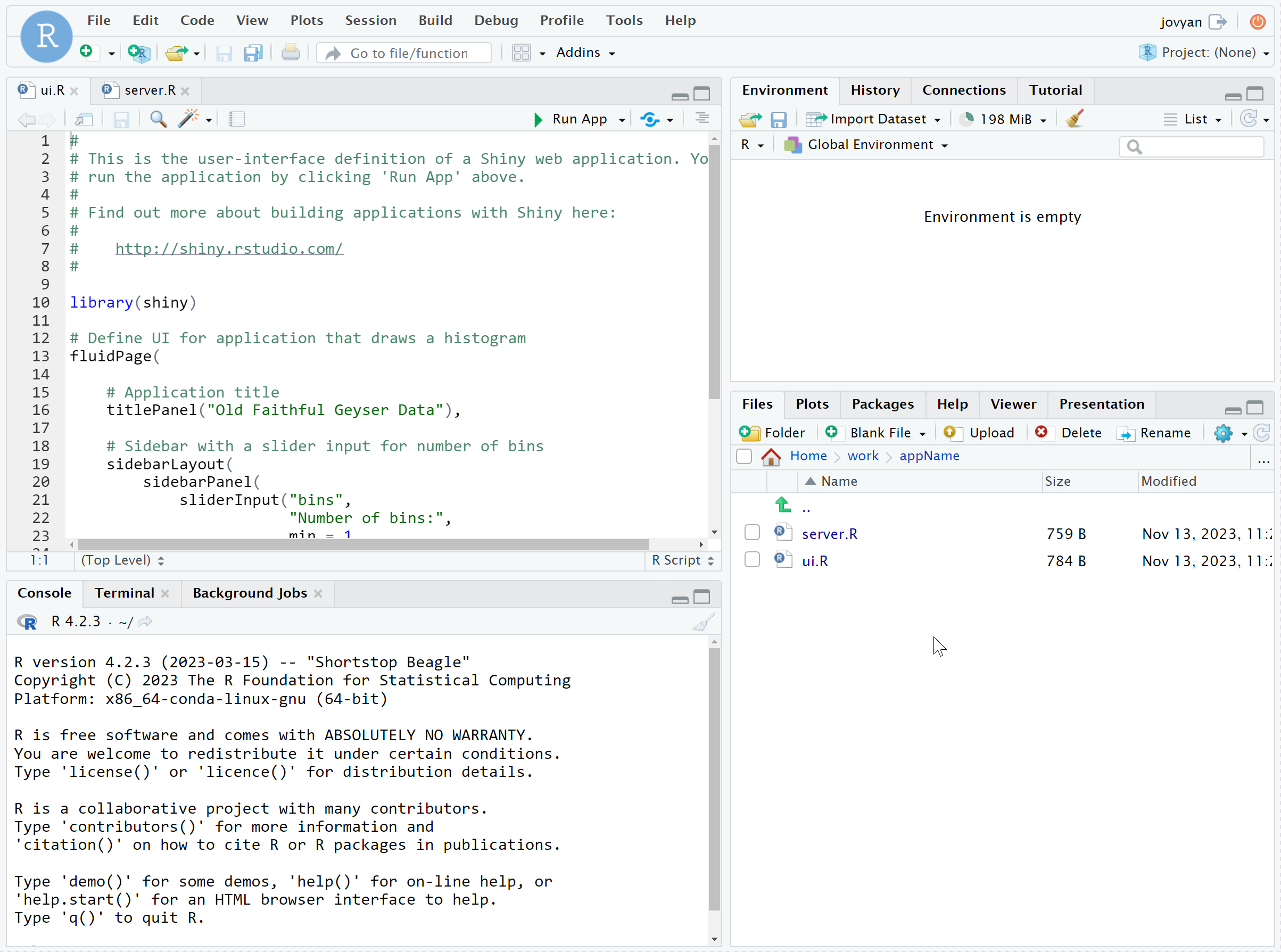 A screenshot of the RStudio with split app files