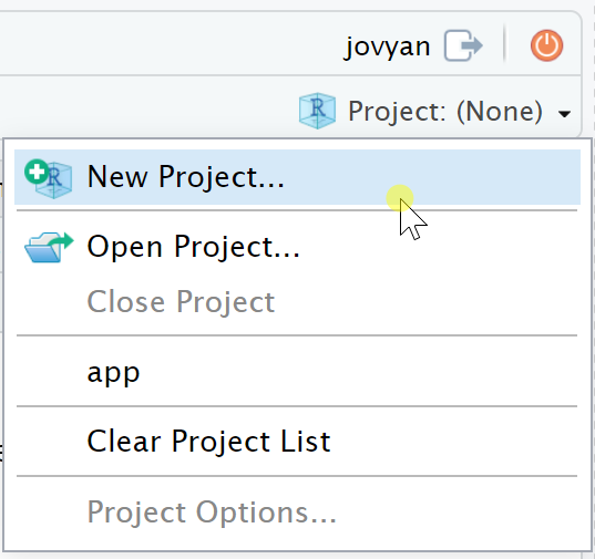 A Screenshot of the RStudio New Project Panel