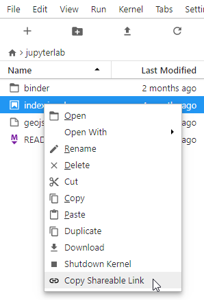 A screenshot showing the Copy Shareable Link option in the context menu opened over a file, which is the last entry on the list.