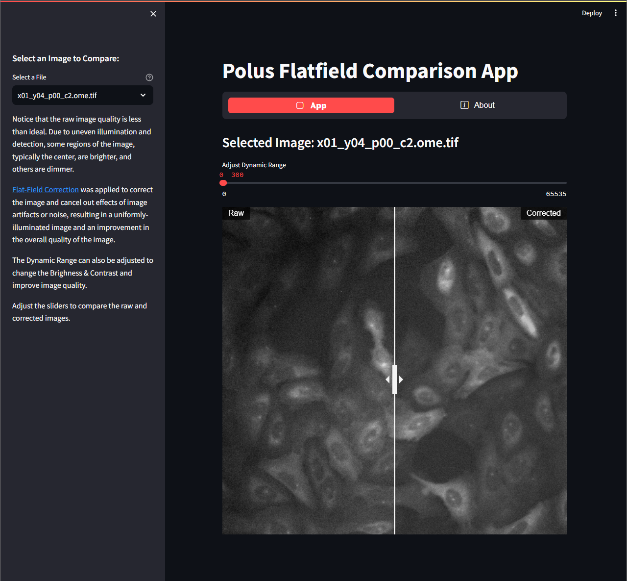 A screenshot of the Streamlit Polus FFC App