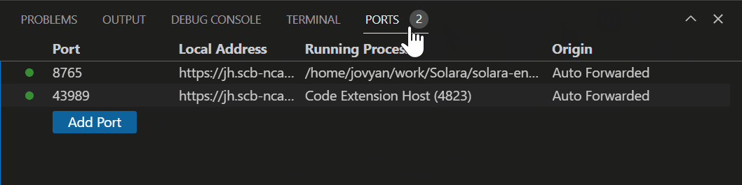 A screenshot of the PORT panel in VS Code